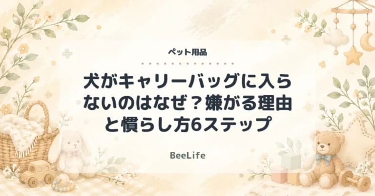 キャリーバッグの慣らし方